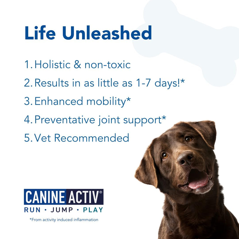 Dog Joint Pain Relief Activity-Induced Capsules, Dog Joint Supplement Large Breed, Hip and Joint Supplement, Dog Joint Pills for Fast Relief from Activity-Induced Pain - 90 Ct - PawsPlanet Australia