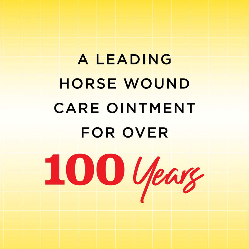 Corona Ointment for Horses | Lanolin-Based Formula Helps Sooth Irritation 198 g - PawsPlanet Australia