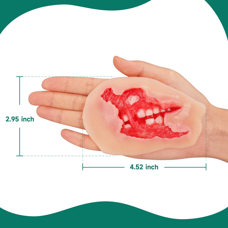 Adhesive Maxillofacial Wound Care Trainer, Exposed Denture Avulsion Simulator, Oral Trauma Simulation, Oral Injury Wound Model for Emergency Care Training