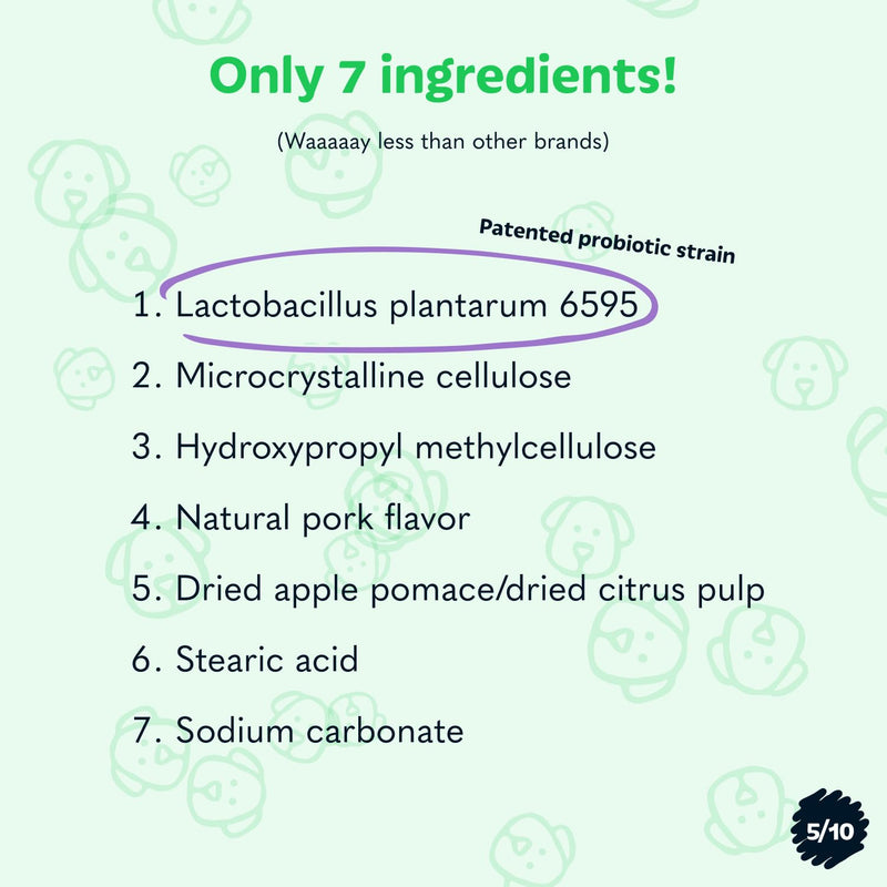 Probiotics for Dogs from Tails 'N' Tummies - Made with Minimal Ingredients to Alleviate Allergies, Diarrhea, Infections, & More - PawsPlanet Australia