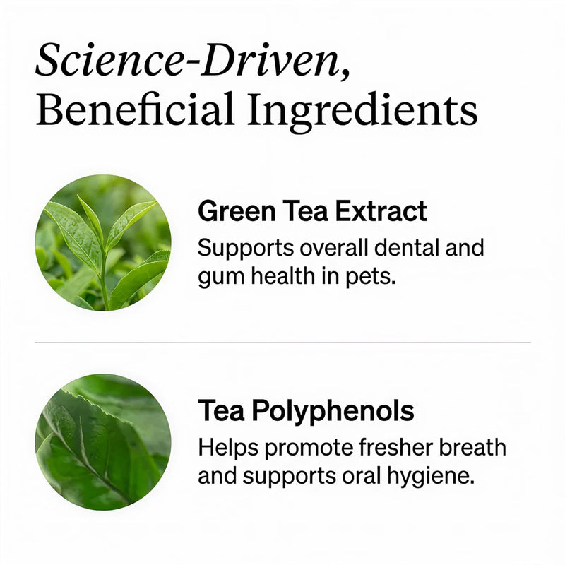 Petscy Dental Finger Wipes for Dogs and Cats – No Brush Teeth Cleaning Wipes for Fresh Breath & Oral Care – Green Tea & Tea Polyphenols – Fragrance-Free Pet Oral Cleansing - 50 Wipes