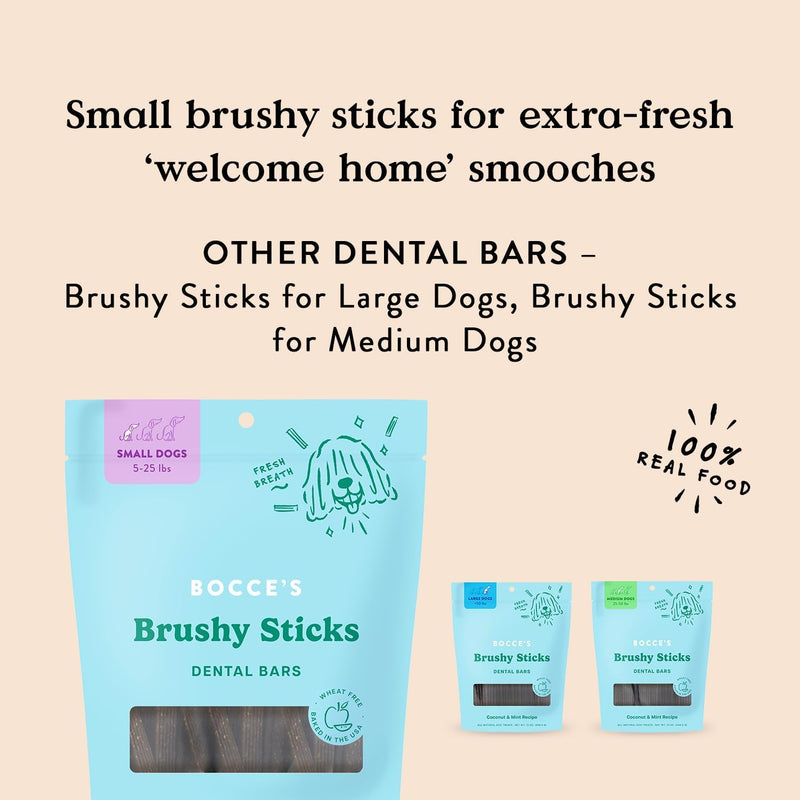 Bocce's Bakery Dental Brushy Sticks for Small Dogs – Natural, Wheat-Free Dental Bars to Support Oral Health & Fresh Breath, Made with Real Ingredients – Coconut & Mint Recipe (2 Pack Bundle) Coconut & Mint - Small Breed (2pk) 6 Ounce (Pack of 2)