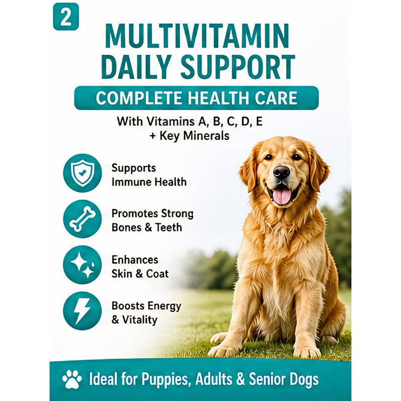 Multivitamin & Mineral Dog Chews – 60 Soft Chews, 6.3 oz – Natural Beef Flavor, Supports Immune, Skin, Coat, Heart & Overall Health