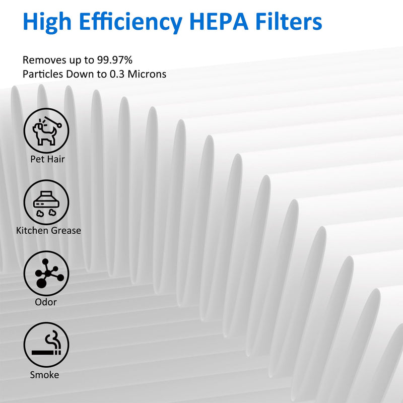 2 Pack MK01 MK06 True HEPA Replacement Filter Compatible with AROEVE MK01 MK06 and Kloudi DH-JH01 Air Purifier, Pet Dander Version 2 Pack