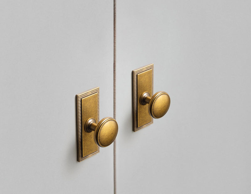 Goo-Ki 6 Pack Antique Brass Cabinet Knobs with Backplate Zinc Alloy Kitchen Hardware - Vintage Brass Single Hole/Screw Drawer Pulls Solid Cabinet Handles with Spacer G022