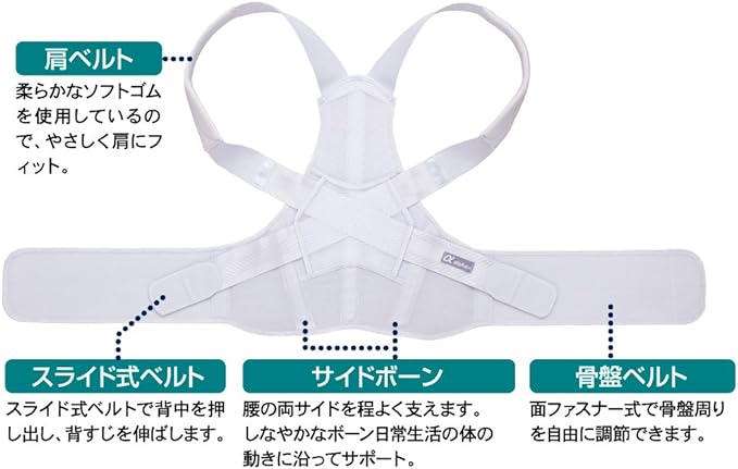 Alphax Posture Supporter, Doctor's Firm Back Belt, M-L Made in Japan - NewNest Australia