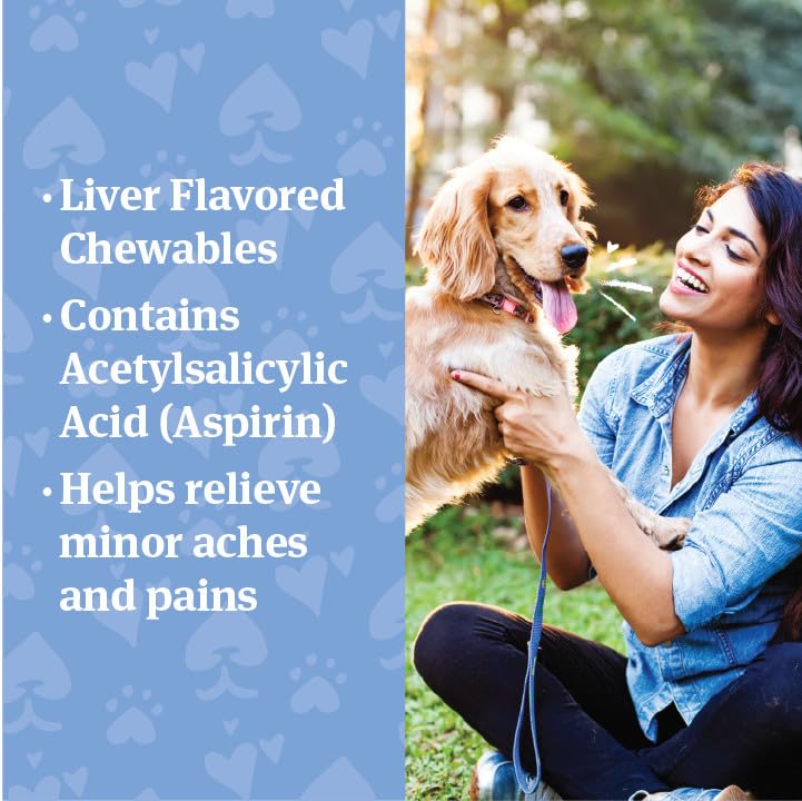 PetArmor Aspirin for Small Dogs, Fast Acting Anti-Inflammatory and Pain Relief For Dogs, Vet-Quality Joint Support and Pain Meds for Dogs, 75 Liver Flavored Tablets Small-Medium Dogs (10-50 lbs)