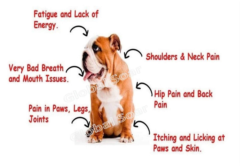 Omega Alpha HA-180 (Hyaluronic Acid) for Pets-250ml - PawsPlanet Australia