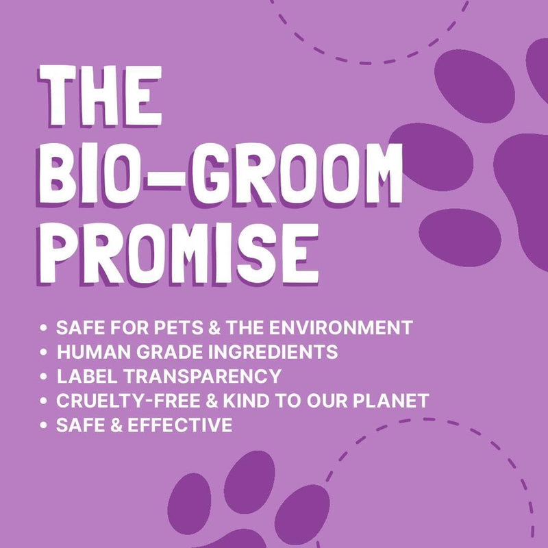 Bio-Groom Silk Creme Rinse Dog Conditioner - Conditioner for Dogs, Puppy Conditioner, Dog Conditioner Detangler, Dog Hair Conditioner - 12 Fl Oz 1-Pack - PawsPlanet Australia