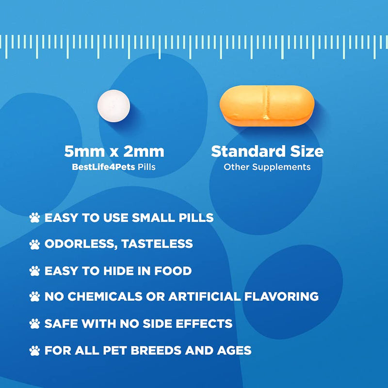 BestLife4Pets Oral Health for Cats and Dental Care Supplement – All Natural Anti-inflammatory Pain Relief for Stomatitis Gingivitis and Gum Disease - Easy to Use 1-Pack - PawsPlanet Australia