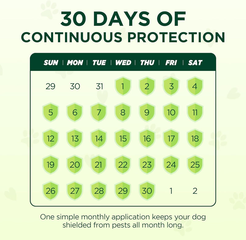 Flea and Tick for Medium Dogs, 6 Doses Helps Dogs 23-44 lbs, Waterproof, Fast 6 Pack