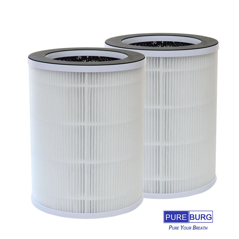 PUREBURG HEPA Filters Compatible with Welov P100 P100 Pro Air Purifier