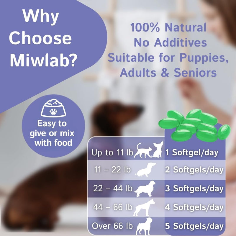 Dog & Cat Breath Mints Freshener Remedy for Oral Bad Odour Supports Hygiene & Gut Health with Natural Mint & Ginger Oil 60 Soft Capsules for Pet Care Prebiotics & Digestive Enzymes