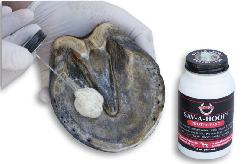 SBS Sav-A-Hoof PROTECTANT, Item 309 SBS Equine Item 309 Hoof Conditioner, One Size - PawsPlanet Australia