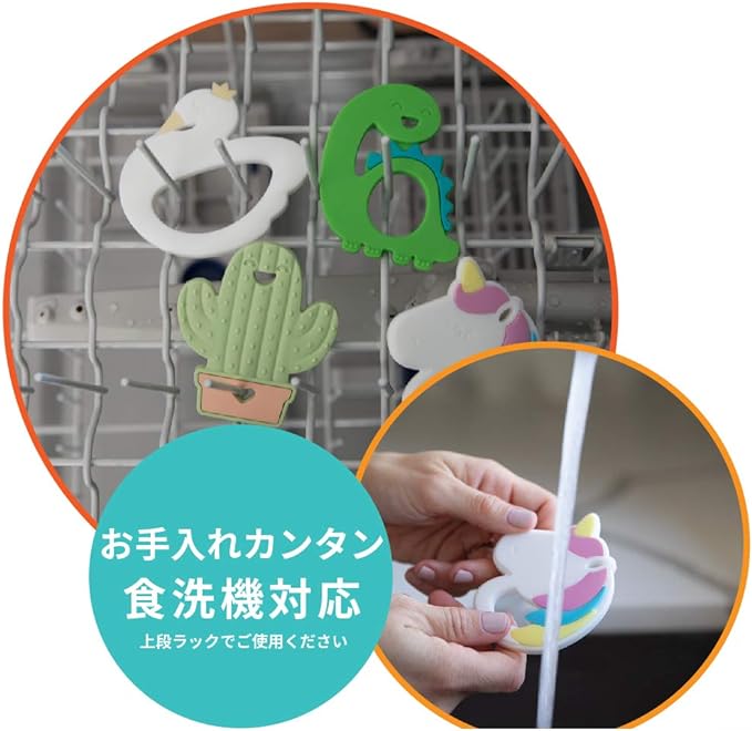 bankinsu dentaru Teeth Because [Japan genuine] 3 Months – - NewNest Australia