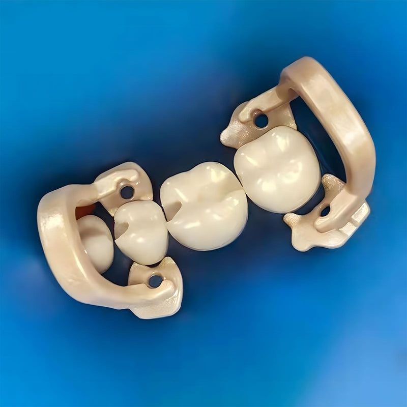 6 Pcs Dental Resin Rubber Dam Clamps Clip, Dental Resin Rubber Dam Clamps, Dam Soft Clamps Premolar Rubber Barrier Clip Resin Material. (6pcs) 6pcs