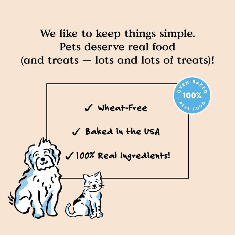 Bocce's Bakery Dental Brushy Sticks for Small Dogs – Natural, Wheat-Free Dental Bars to Support Oral Health & Fresh Breath, Made with Real Ingredients – Coconut & Mint Recipe (2 Pack Bundle) Coconut & Mint - Small Breed (2pk) 6 Ounce (Pack of 2)