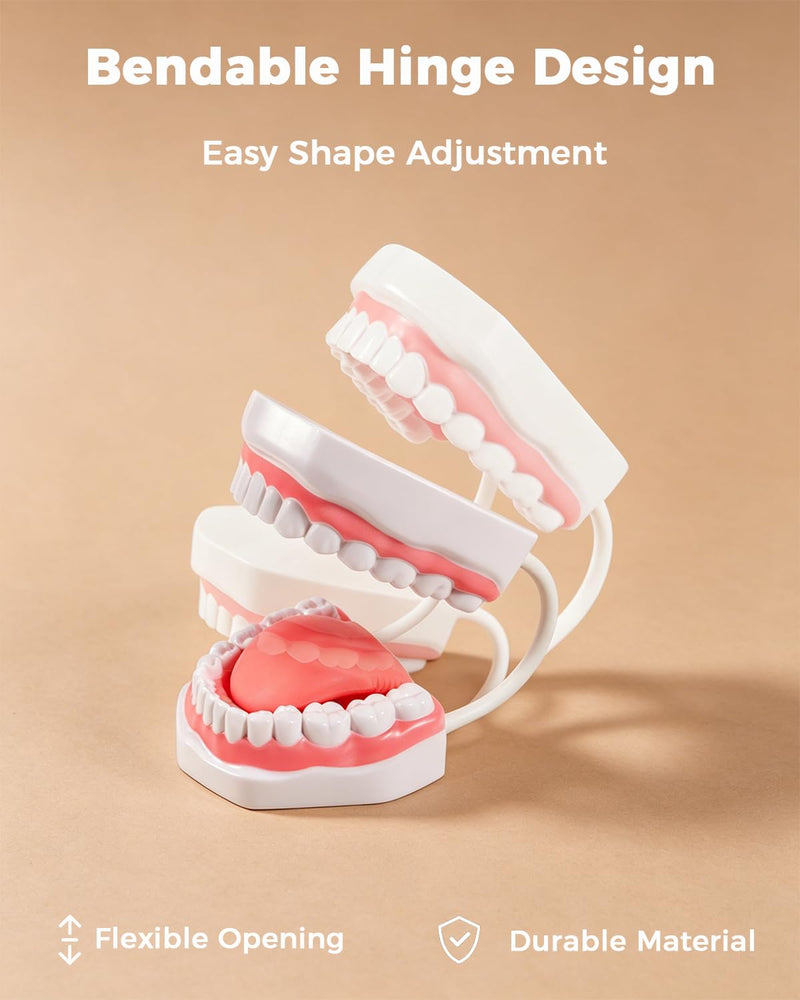 6X Teeth Mouth Model Set with White Hinge, Includes Tongue Depressor, Toothbrush and Letter Cards, 6X Enlarged Oral Cavity Model for Children's Brushing Training and Dental Hygiene Teaching