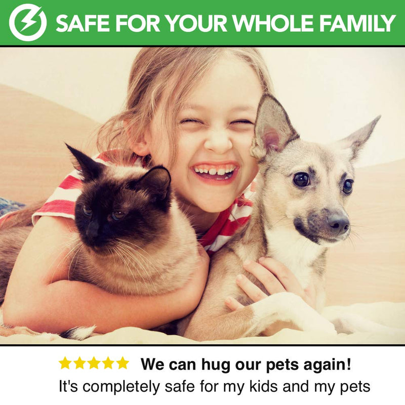 All Natural HouseHold Flea Spray | Flea Fighter | 500ml | Safe For Dogs, Children, Pets | Repellent & Flea Killing Spray | For Dog & Cat Fleas Ticks Lice & Insect | Use on Carpet, Bed, Furniture, Car - PawsPlanet Australia