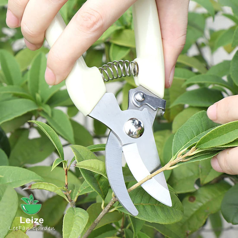 Leize Flower Scissors Set, 2 Pack Premium Thickened Stainless Steel Floral Shears, Strong Pruner for Flowers, Branches and Leaves, Upgrade Cream2p