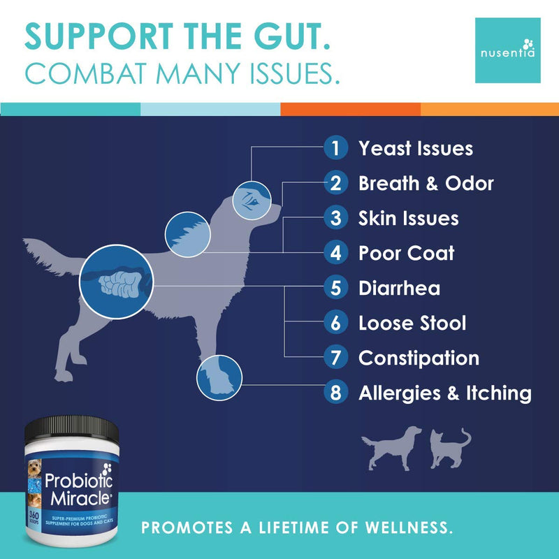 NUSENTIA The Miracle Pack - Natural Probiotics + Digestive Enzymes - Prebiotics - for Diarrhea, Gas, Loose Stool, Digestive Upset, & Allergies