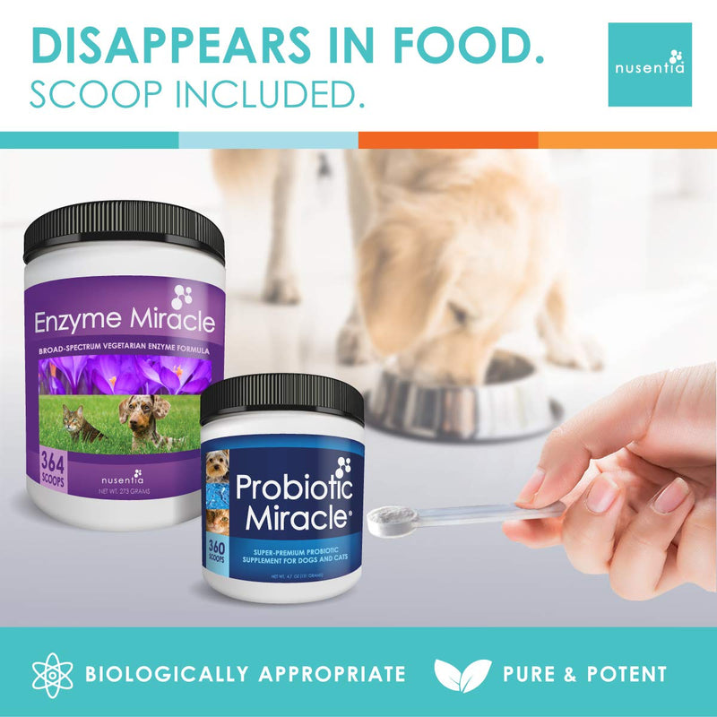 NUSENTIA The Miracle Pack - Natural Probiotics + Digestive Enzymes - Prebiotics - for Diarrhea, Gas, Loose Stool, Digestive Upset, & Allergies