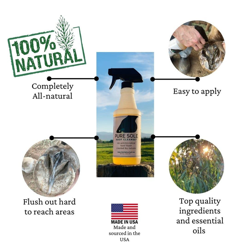 Pure Sole Severe Thrush Treatment for Horses - Hoof Cleanse (16 oz.) and Thrush Dust (4 oz.) Bundle