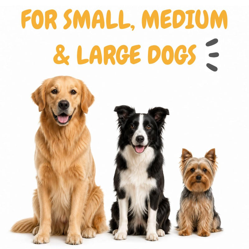 maxxipaws maxxidental Dog Dental Powder | Oral Care Supplement for Teeth, Gums, Plaque, Tartar and Fresh Breath | Kelp, Zeolite, Papain, Probiotics | Easy Sprinkle Formula | 5 oz