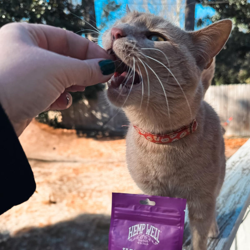 Hemp Well Cat Hairball Soft Chews for Cats, Hairball Control & Digestive Support, Organic Hemp Seed Powder, Pumpkin Seed & Psyllium Fiber, Skin & Coat Support, Chicken Cheese & Catnip Flavor, 60 Ct 2.11 Ounce (Pack of 1)
