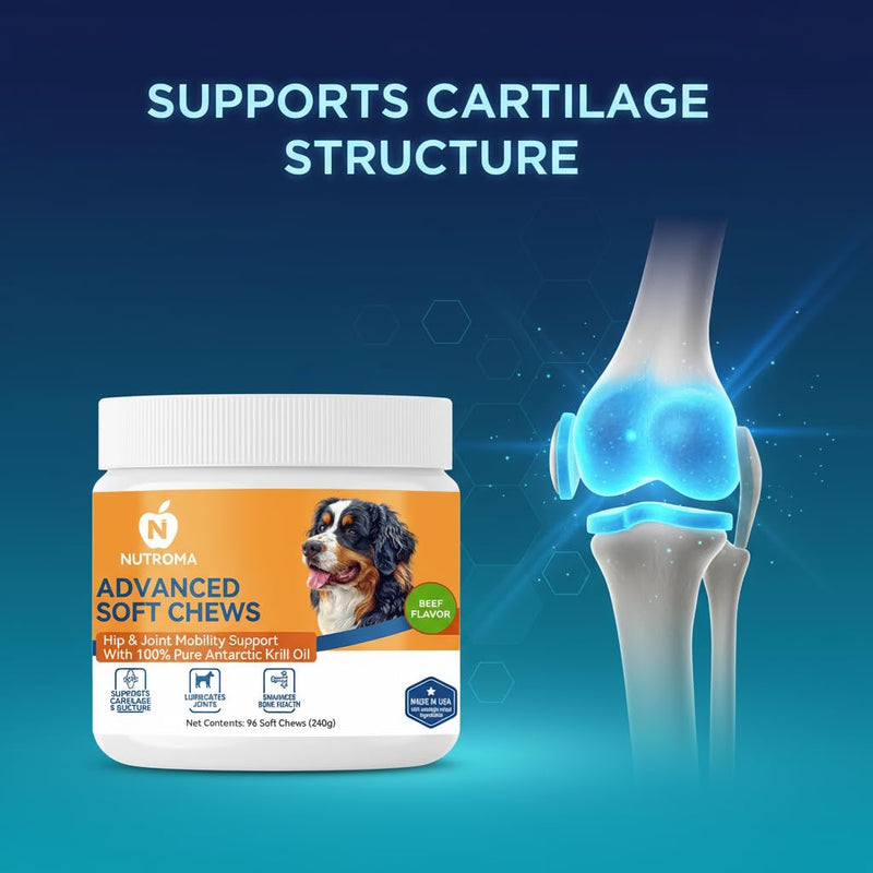 Advanced Soft Chews for Dogs – Hip & Joint Mobility Support with Antarctic Krill Oil, Eggshell Membrane & Hyaluronic Acid – 96 Chews (Beef) Beef
