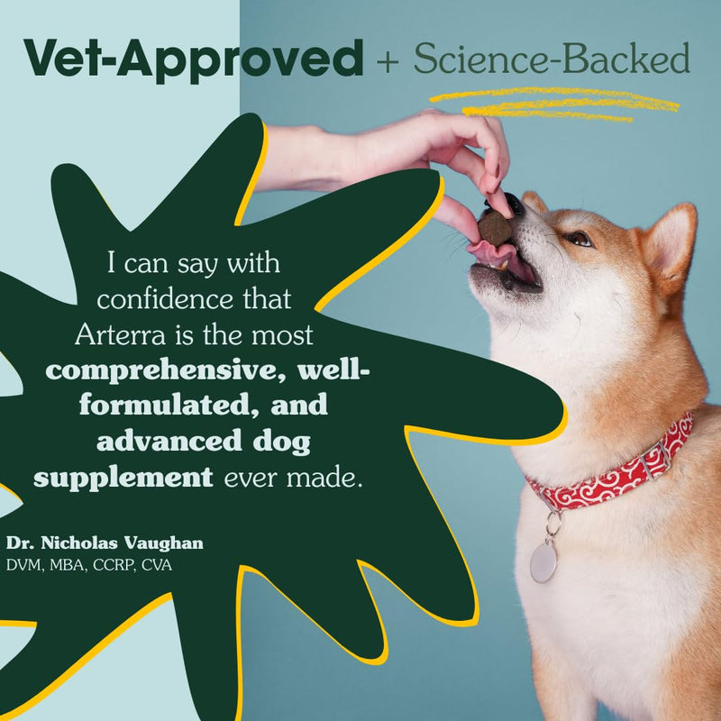 Arterra Longevity Multivitamin for Dogs – 50% Active Ingredients – Vet-Formulated Daily Soft Chews for Gut, Brain, Joint & Immune Health – Human-Grade Supplement | 120 Count Large