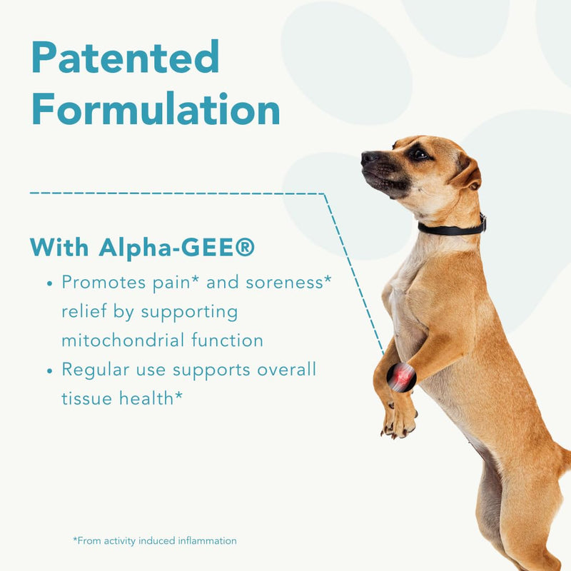 Dog Joint Pain Relief Activity-Induced Capsules, Dog Joint Supplement Small Breed, Hip and Joint Supplement for Dogs, Dog Joint Pills for Fast Relief from Activity-Induced Pain - 90 Ct - PawsPlanet Australia