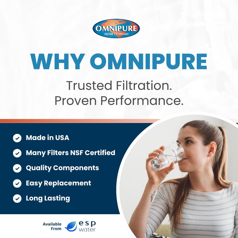 Omnipure E5520-SB Carbon Block Water Filter 1 Micron 10 x 2.5 Twist and Lock Cartridge Reduces Chlorine Improves Taste and Odor Quick Change Replacement