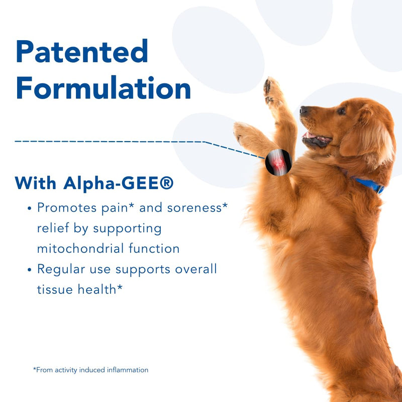 Dog Joint Pain Relief Activity-Induced Capsules, Dog Joint Supplement Large Breed, Hip and Joint Supplement, Dog Joint Pills for Fast Relief from Activity-Induced Pain - 90 Ct - PawsPlanet Australia