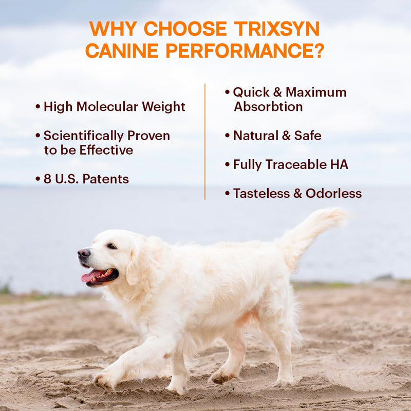 Canine Performance - Dog Hip & Joint Supplement - Enhance Joint Pain Relief for Small, Large & Senior Dogs - Patented MHB3 Hylauronan Liquid Formula - 72 Day Supply - PawsPlanet Australia