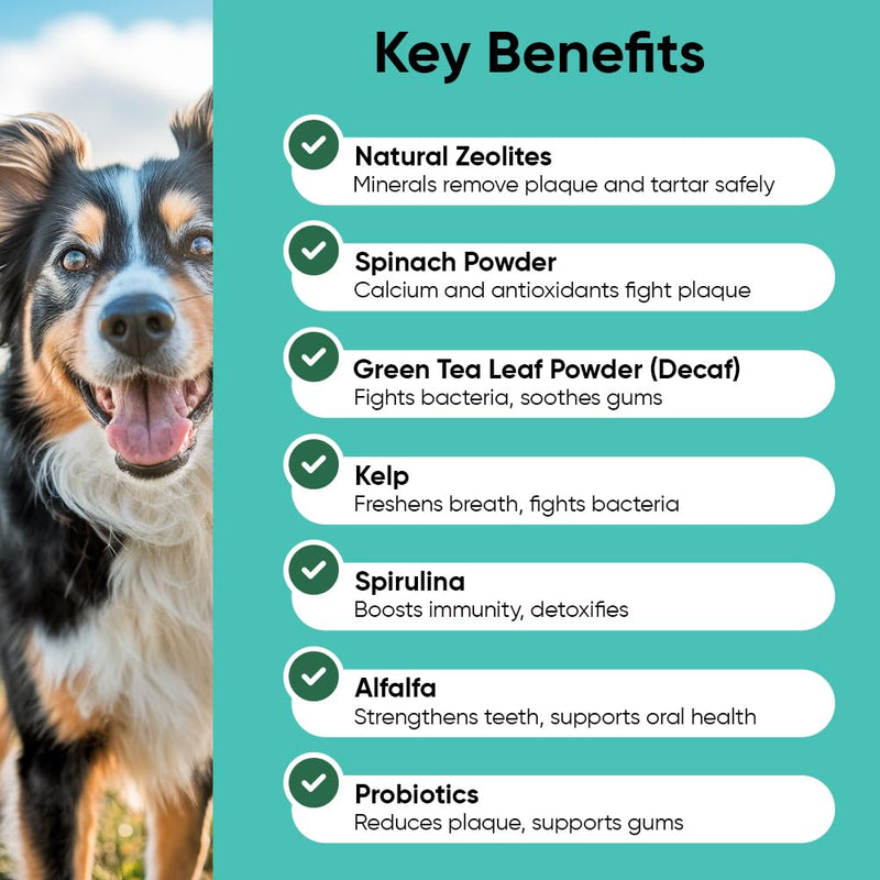 iHeartDogs Clean Teeth & Fresh Breath Dental Powder for Dogs - Targets Tartar & Bad Breath - Natural Herbal Blend with Kelp, Probiotics - Mint, 90 Servings