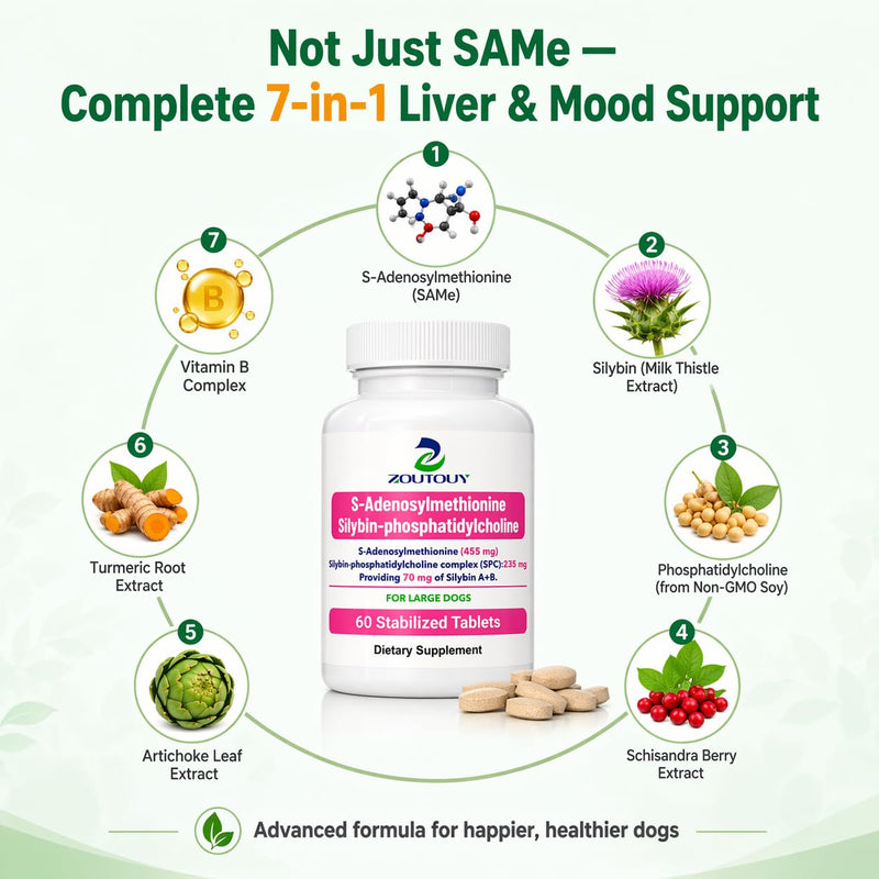 Same and Silybin for Dogs - S-Adenosyl-L-Methionine, Same for Dog, Hepatic Supplement for Liver & Brain, Dog Liver Support (Same+Silybin), 60 Tablets for Large Dogs(35 lbs+