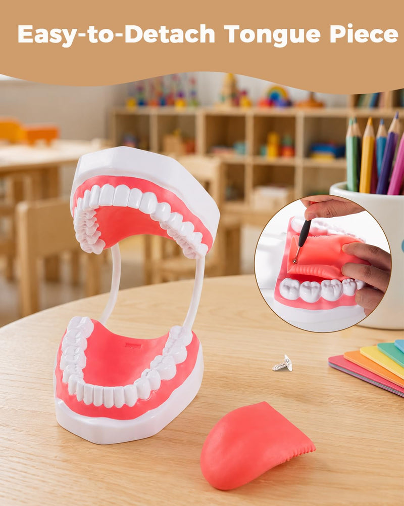 6X Teeth Mouth Model Set with White Hinge, Includes Tongue Depressor, Toothbrush and Letter Cards, 6X Enlarged Oral Cavity Model for Children's Brushing Training and Dental Hygiene Teaching