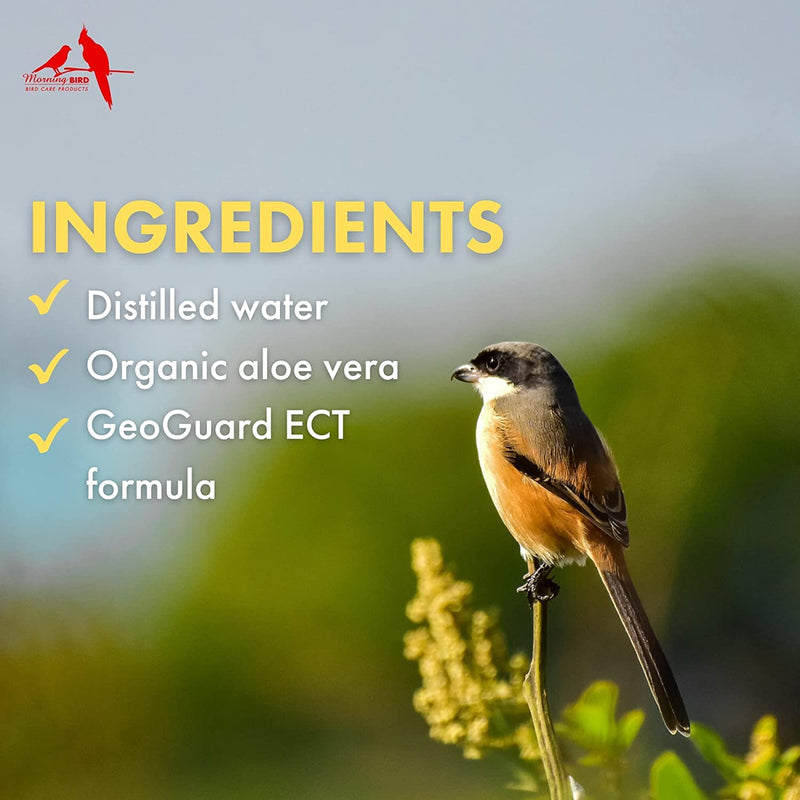 Morning Bird Organic Aloe Vera, Non-Toxic Bird Spray, Soothing and Hydrating, 8 Fl Oz 8 Fl Oz (Pack of 1) - PawsPlanet Australia
