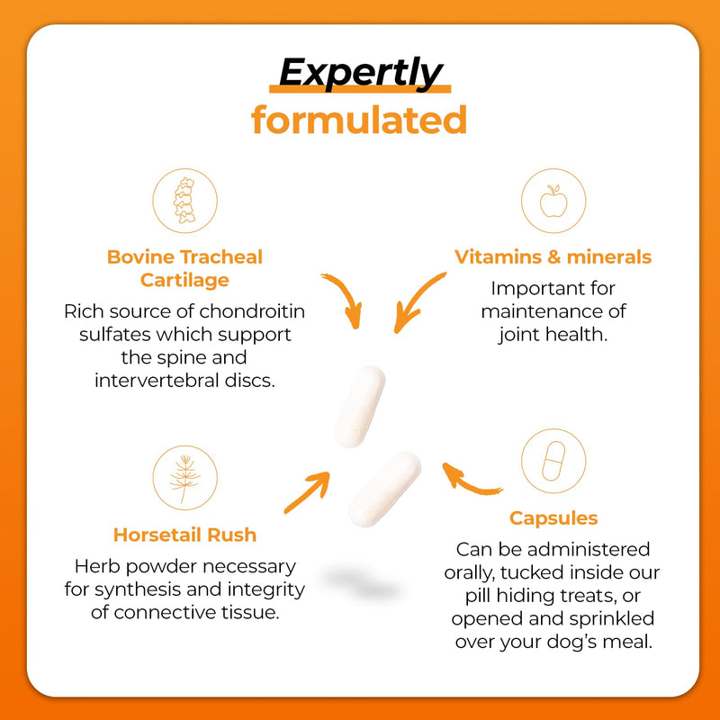 VetriScience Healthy Spine & Disc Easy-Open Capsules, Back & Spinal Support Chondroitin & Taurine Supplement for Dogs, Perfect for Dachshunds, Corgis, Frenchies & More, 180 Count 180 Tablets for All Dogs Capsule