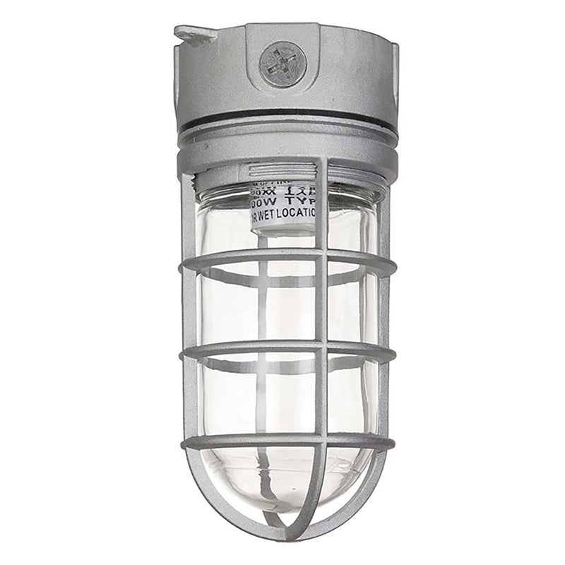 Glass Globe Bulb Cover Heavy Duty, Tempered Threaded Glass Globe Cover for Walk in Refrigerators, Light Bulb Protector Cage for Hood Bulbs, Outdoor Light Bulb Covers Replacement Clear