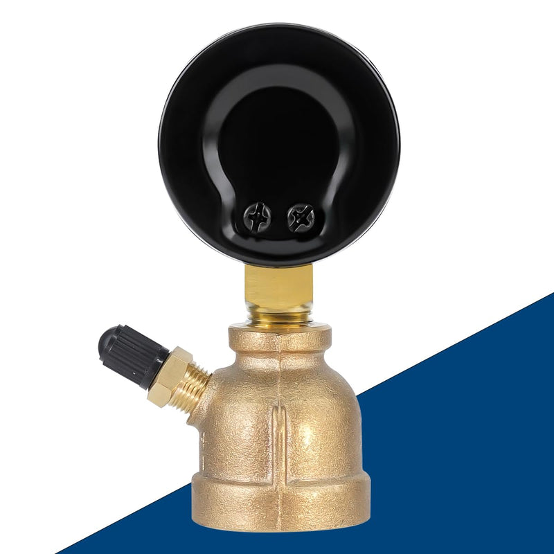 0-30 Psi Gas Pressure Test Gauge, 2" Dial Size, 3/4" FNPT Connection, Brass Valve, Forged Brass Bell Shape Body Assembly 0-30 psi