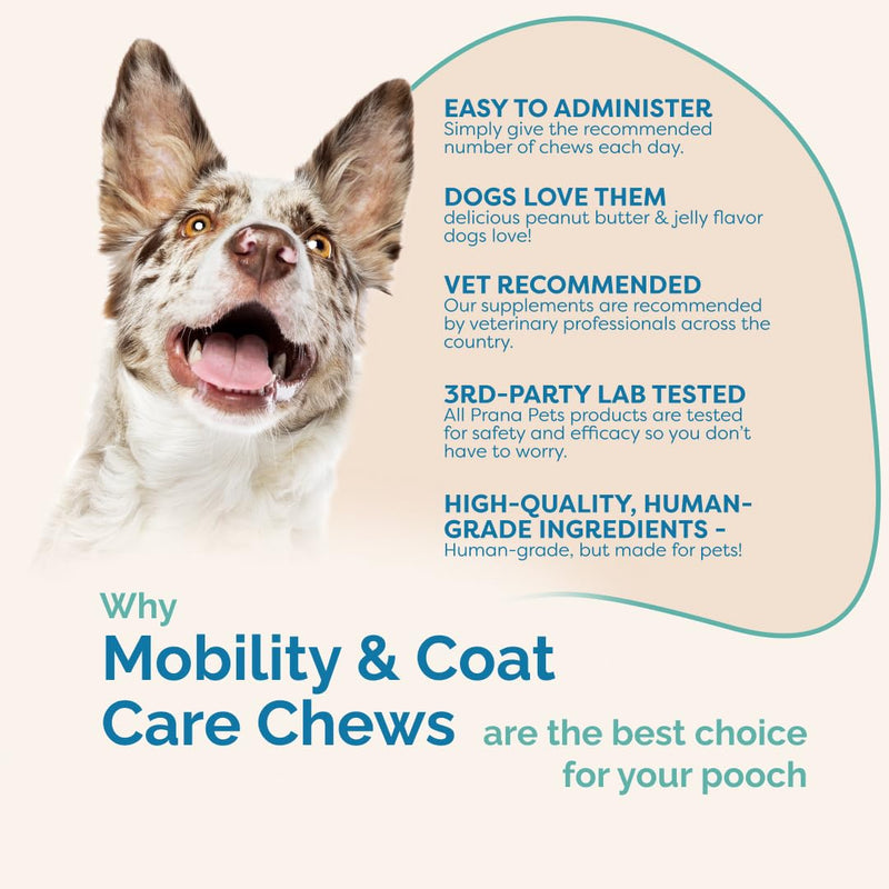 PranaPets Mobility & Coat Care Chews for Dogs & Puppies | Joint Supplement | Skin & Coat Health | Beef & Bacon Flavor