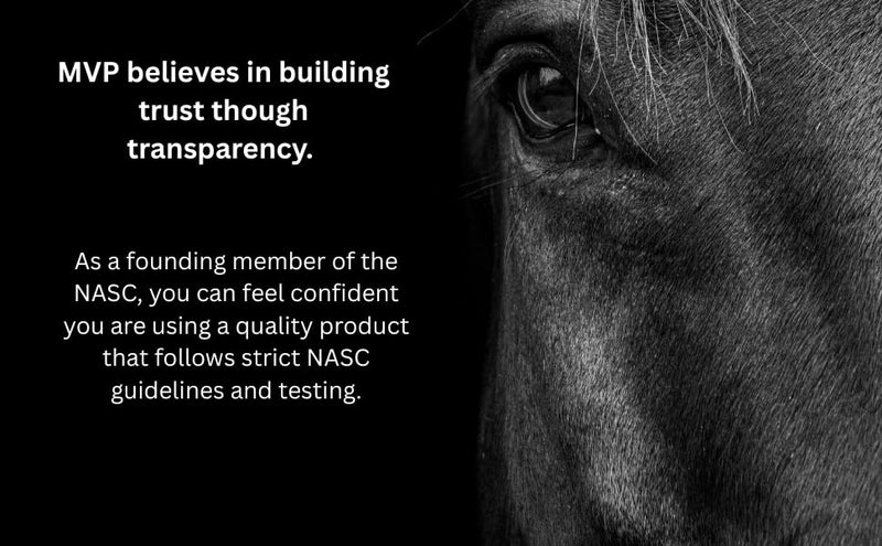 MVP Breathe O'2 Paste (2 doses) Pre-Race Paste to Support Lung/Airway Function & Recovery in Horses