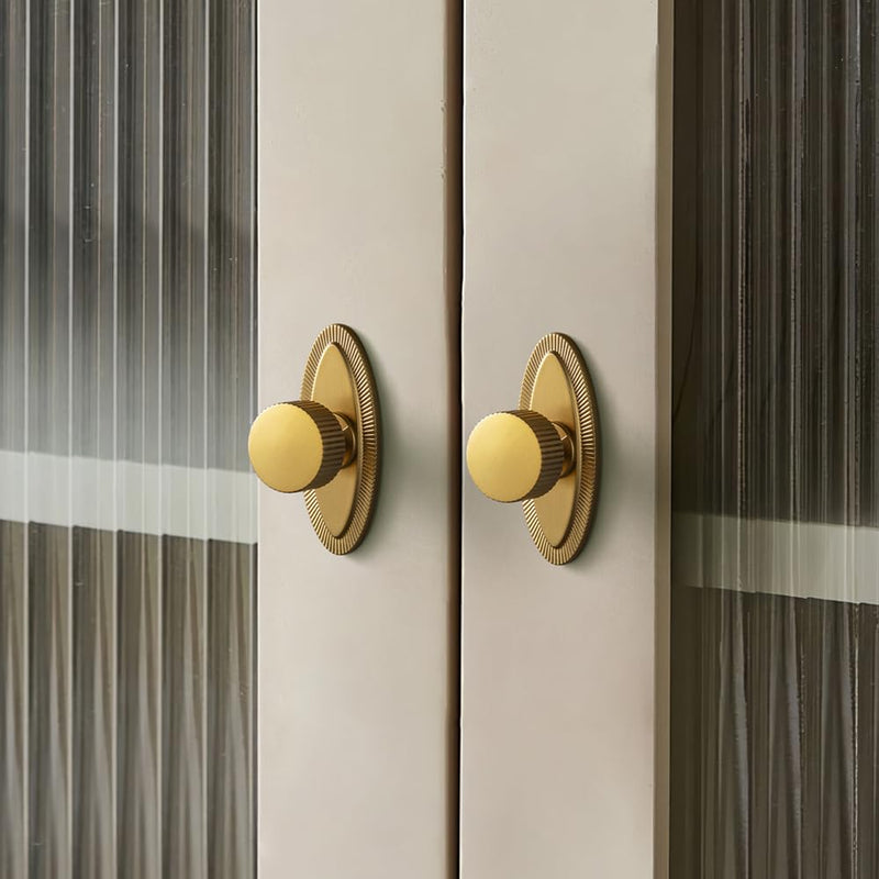 Goo-Ki Brushed Gold Zinc Alloy Cabinet Knob with Backplate - Single Hole Center Cabinet Pull Hardware for Bedroom, Kitchen, 2 Pack（9596-E）