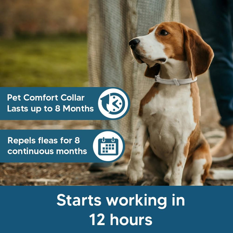 Flea and Tick Collar for Small Dogs, Flea Collar for Dogs, Tick Collar for Small Dogs, Dog Tick Collar, Dog Flea Collars, Soft & Adjustable, 8 Months Protection, Easy to Use-2P 1.2 Ounce (Pack of 2)