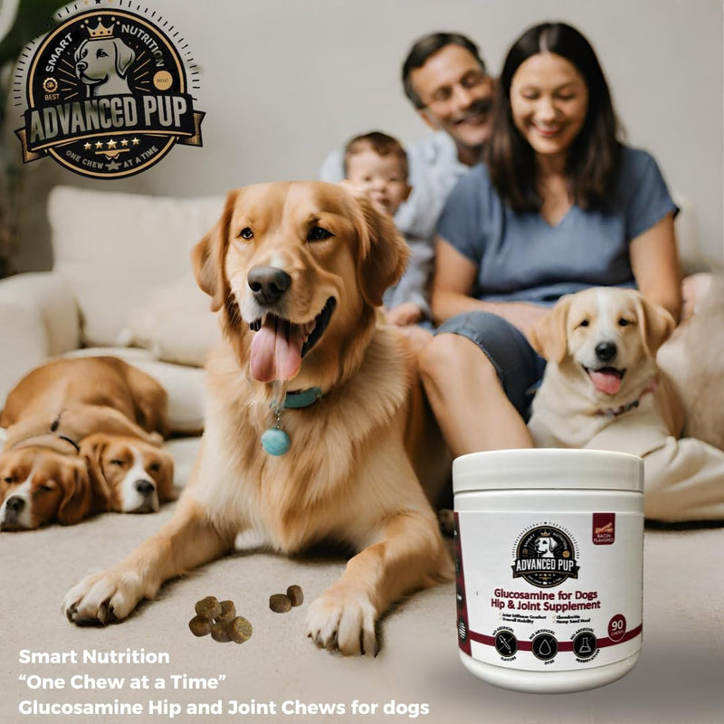 AdvancedPUP Dog Hip and Joint Supplement - Glucosamine for Dogs - Dog Hip & Joint Care with Chondroitin, MSM, & Turmeric for Dog Joint Relief - Regain Dog Mobility with Natural Tasty Bacon - 90 CT - PawsPlanet Australia