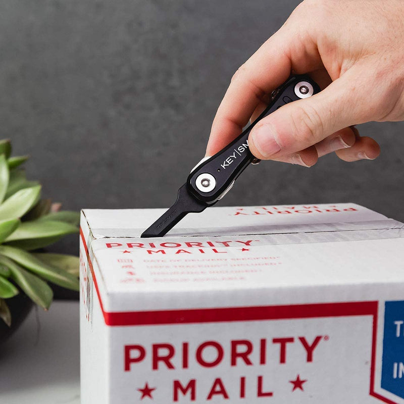 KeySmart Safe Box Cutter - Key-shaped Safe Package Opener For Everyday Carry, with Finger Protection Fits Perfectly on Keychain or Inside a KeySmart (Black) Black (1-pack)
