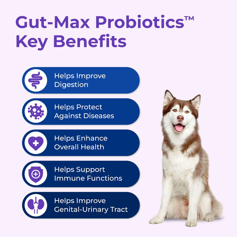 Gut-Max Probiotic Chews - Patented BC30™ Bacillus Coagulans - Natural, Vet Formulated Digestive & Immune Support - Relieves Diarrhea, Constipation, Bloating - Duck Flavor - 90 Soft Chews - PawsPlanet Australia
