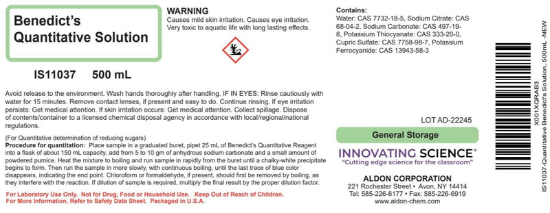 ALDON Quantitative Benedict's Solution, 500mL - The Curated Chemical Collection